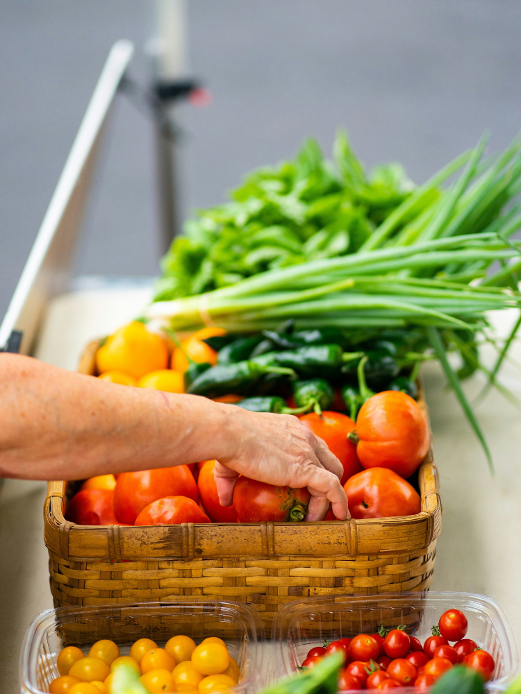 Organic Vegetable Selection